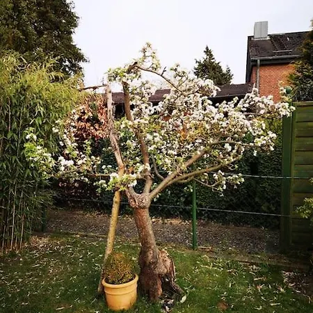 Cultivation House With Theater & Terrace *